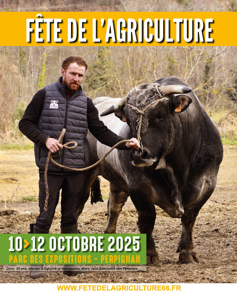 photo_1 Affiche 1080x1350 1