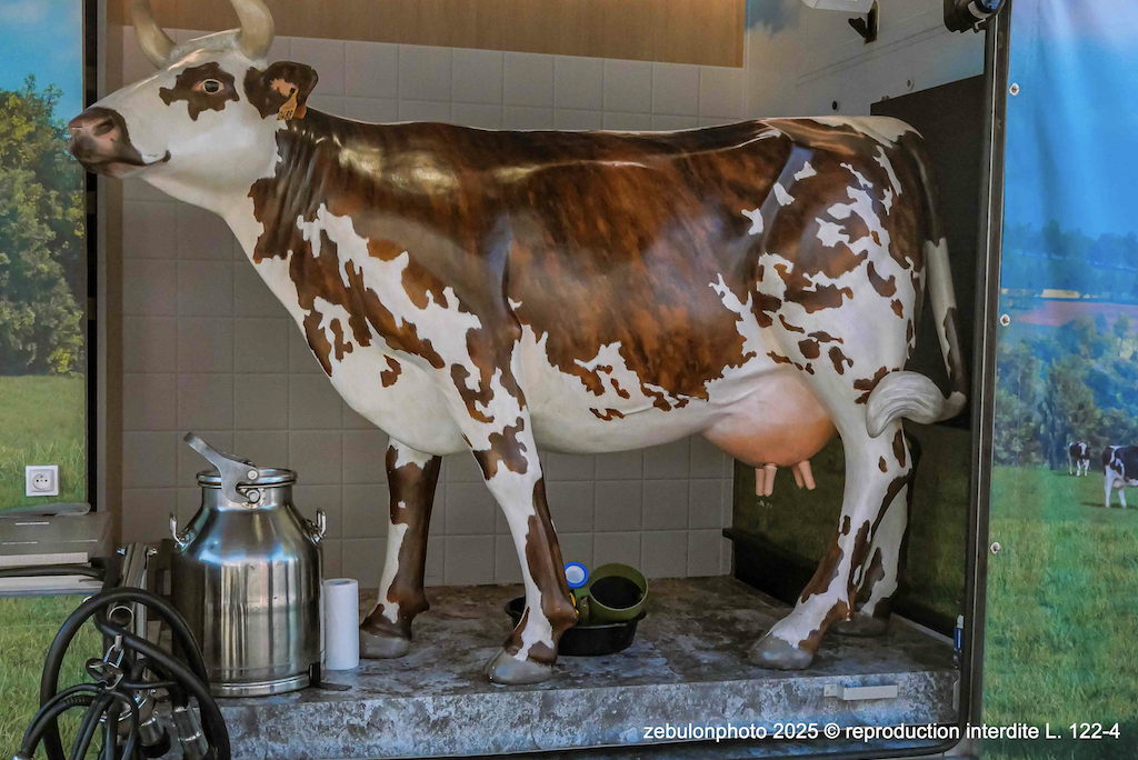 Capture decran 2025 11 20 a 15.00.11