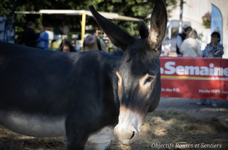 Capture decran 2025 11 20 a 15.07.13