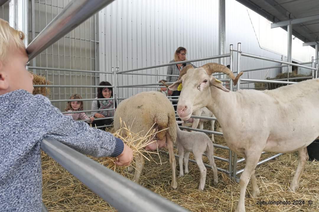 fete-agriculture-66-grand-public-1000054850
